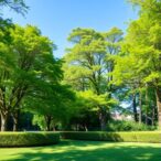 how-green-space-exposure-influences-mental-health-and-the-nasal-microbiome