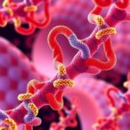 3d-chromatin-changes-in-cancer:-causes-and-therapies