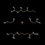 catalytic-endo-stereoselective-[2+2]-norbornadiene-alkyne-cycloaddition