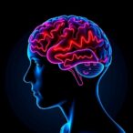 cortico-pallidal-beta-activity-disrupts-turning-in-parkinson’s