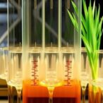 glutenite-reservoir-permeability-via-variable-t2-cutoff