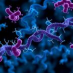 complete-genomes-unveil-mycobacterium-tuberculosis-diversity