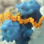 stockwatch:-abivax-survives-a-roller-coaster-week