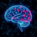 scientists-activate-sleep’s-restorative-benefits-in-awake-brain-regions