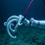 from-the-ocean-depths:-octopus-inspired-robotic-arm-revolutionizes-technology