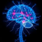locus-coeruleus-α-synuclein-triggers-early-parkinson’s-signs
