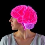 new-study-reveals-brain-changes-that-occur-during-menopause