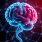 increased-connectivity-linked-to-early-dlb-symptoms