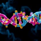mapping-dna-binding-proteins’-dynamic-positions-concurrently