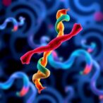 machine-learning-powers-multi-objective-antibody-design