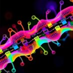 on-resin-assembly-enables-precise-antibody-bioconjugation