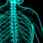 new-study-links-birt-hogg-dube-to-cancer-risks