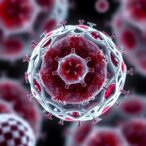 calpeptin-blocks-red-blood-cell-vesicles,-reduces-inflammation
