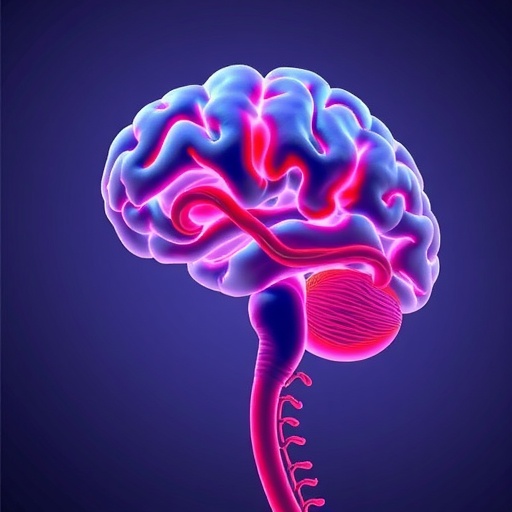 brain-aneurysms:-vascular-vulnerability-and-fibrosis-insights