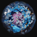 origins-of-first-eukaryotes-linked-to-contributions-from-multiple-bacteria-and-giant-viruses
