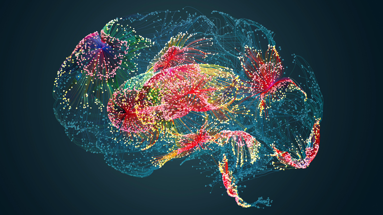brain-aneurysm-study-identifies-structural,-immune-markers-of-rupture-risk