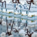waste-cotton-hulls-transform-into-potent-catalyst-for-purifying-water