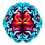 m6a-mid1-drives-cognitive-decline-via-syngap1-loss