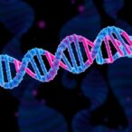 how-chaperones-build-rna-silencing-complexes