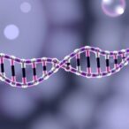 nanocarriers’-untapped-promise-in-antiviral-crop-rna-delivery