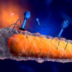 fighting-antimicrobial-resistance-with-biomaterials-and-phages