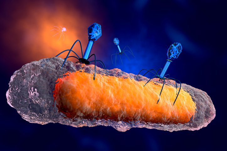 fighting-antimicrobial-resistance-with-biomaterials-and-phages