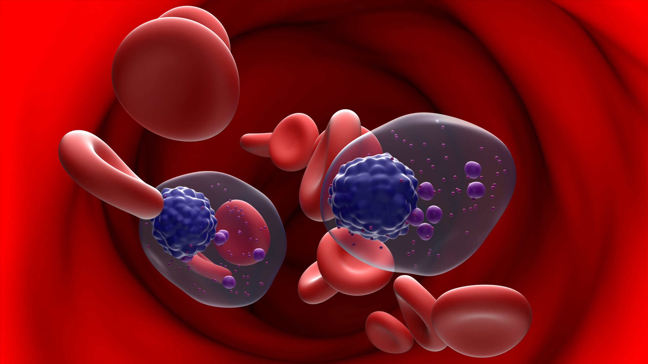 predicta-links-with-spanish-university-to-offer-diagnostic-for-blood-cancers