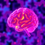 resolvin-d2:-marker-for-cognitive-decline-in-elderly?