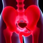 urothelial-changes-increase-uti-risk-post-vcug