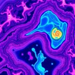 building-robust-foundation-models-for-digital-pathology
