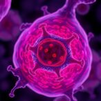 tumor-t-cells-and-dendritic-cells-unite-in-melanoma-immunotherapy