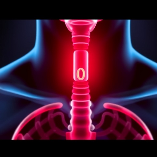 mit-engineers-develop-targeted-drug-delivery-system-for-the-esophagus