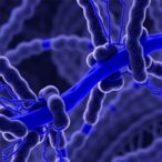 type-i-interferon-signature-unlinked-to-blau-syndrome-activity