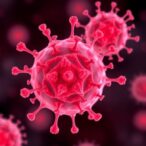 lipid-nanoparticles-shape-t-cell-immunity-systemically