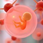 stem-cell-based-embryonic-models:-unlocking-new-insights-into-infertility