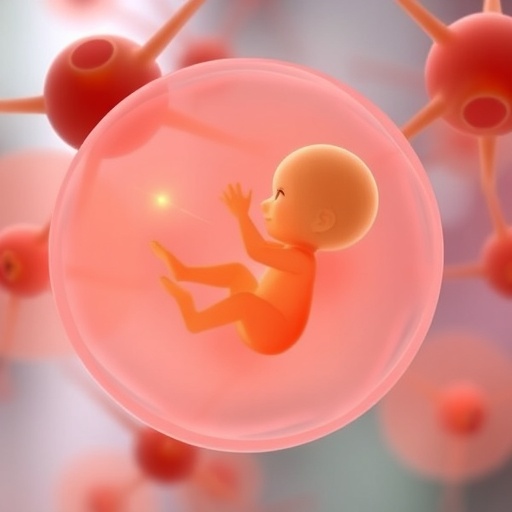 stem-cell-based-embryonic-models:-unlocking-new-insights-into-infertility