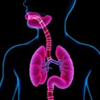 esophageal-tissue-system-evaluates-biologic-absorption-efficiency