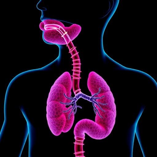 esophageal-tissue-system-evaluates-biologic-absorption-efficiency
