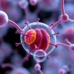 fecal-tests-boost-microbiome-research-in-cancer-screening