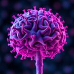 decoding-ebola-persistence-in-human-brain-organoids