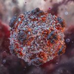 hantavirus-one-shot-mrna-vaccine-fully-protects-in-syrian-hamster-model