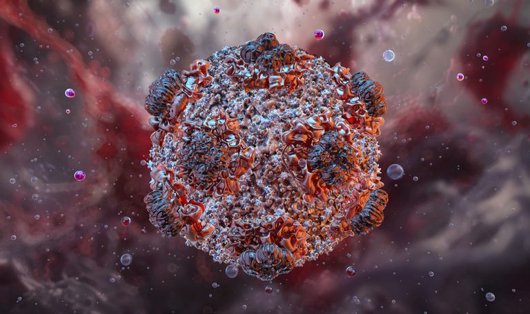 hantavirus-one-shot-mrna-vaccine-fully-protects-in-syrian-hamster-model