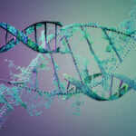 sonothera-raises-$125m-to-develop-ultrasound-mediated-genetic-medicines