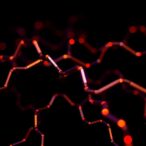 conducting-charge-along-linear-carbon-chains
