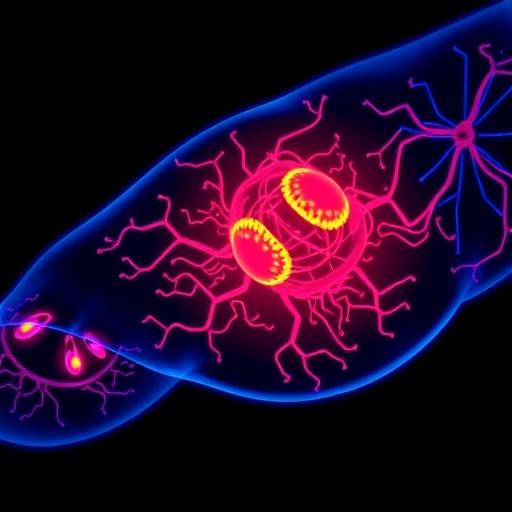 precision-ablation-targets-metastatic-cancer-via-rewired-signaling