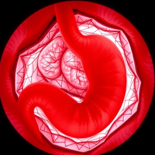 long-term-outcomes-of-endoscopic-resection-in-gastric-adenocarcinoma