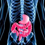 gut-microbiome-associated-with-increased-osteoporosis-risk-in-primary-hyperparathyroidism