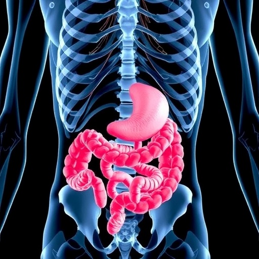 gut-microbiome-associated-with-increased-osteoporosis-risk-in-primary-hyperparathyroidism