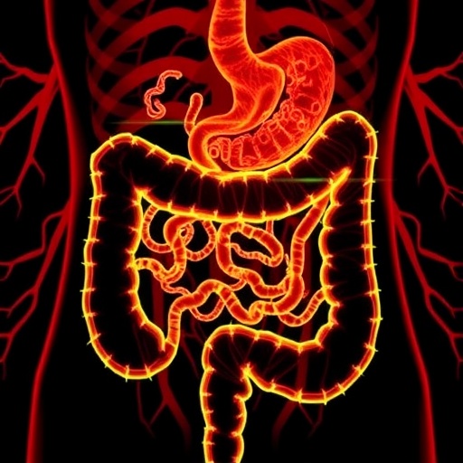 unraveling-pet-mps’-role-in-inflammatory-bowel-disease