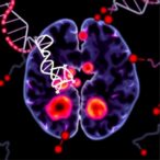 combining-genetic-origin-data-with-tumor-analysis-enhances-survival-predictions
